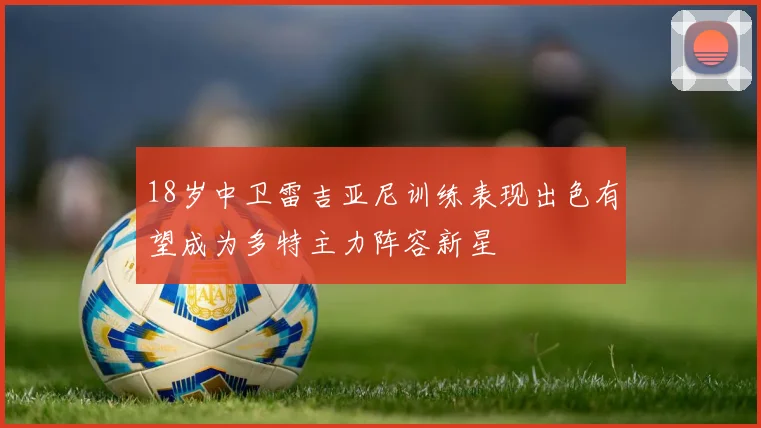 18岁中卫雷吉亚尼训练表现出色有望成为多特主力阵容新星