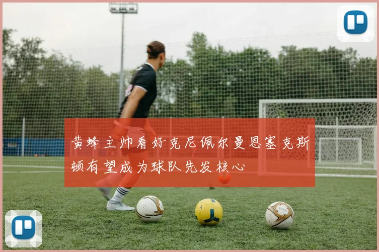 黄蜂主帅看好克尼佩尔曼恩塞克斯顿有望成为球队先发核心