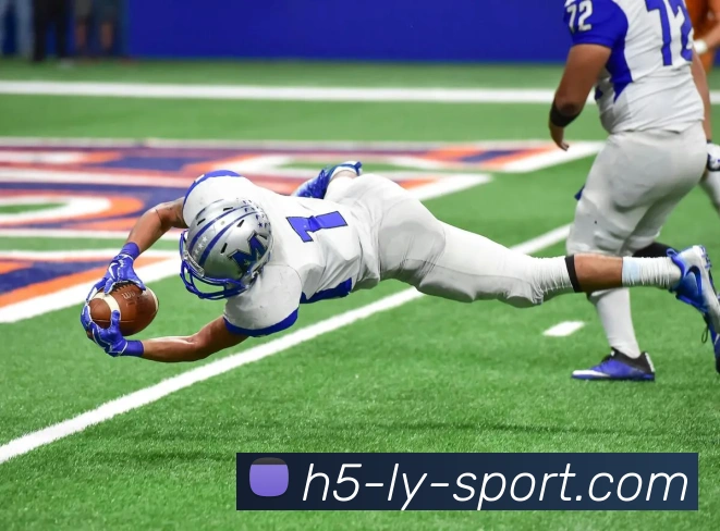 乐鱼体育发展历程