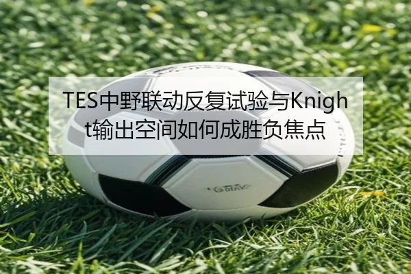TES中野联动反复试验与Knight输出空间如何成胜负焦点（leyu）